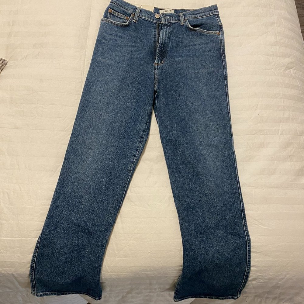 Agolde High Rise Pinch Waist Jeans
